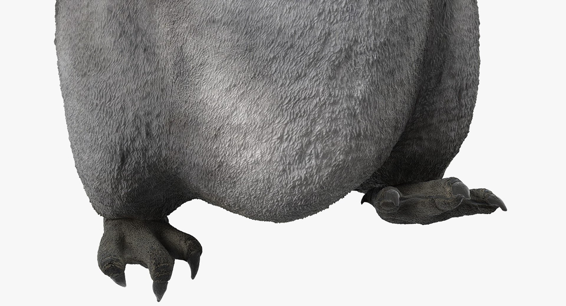 3D baby emperor penguin rigged https://p.turbosquid.com/ts-thumb/4P/RTJisZ/Sapfzugr/babyemperorpenguinriggedmb3dmodel020/jpg/1563838475/1920x1080/fit_q87/3483cb60c15bb098d36c49b073128b6f75319639/babyemperorpenguinriggedmb3dmodel020.jpg