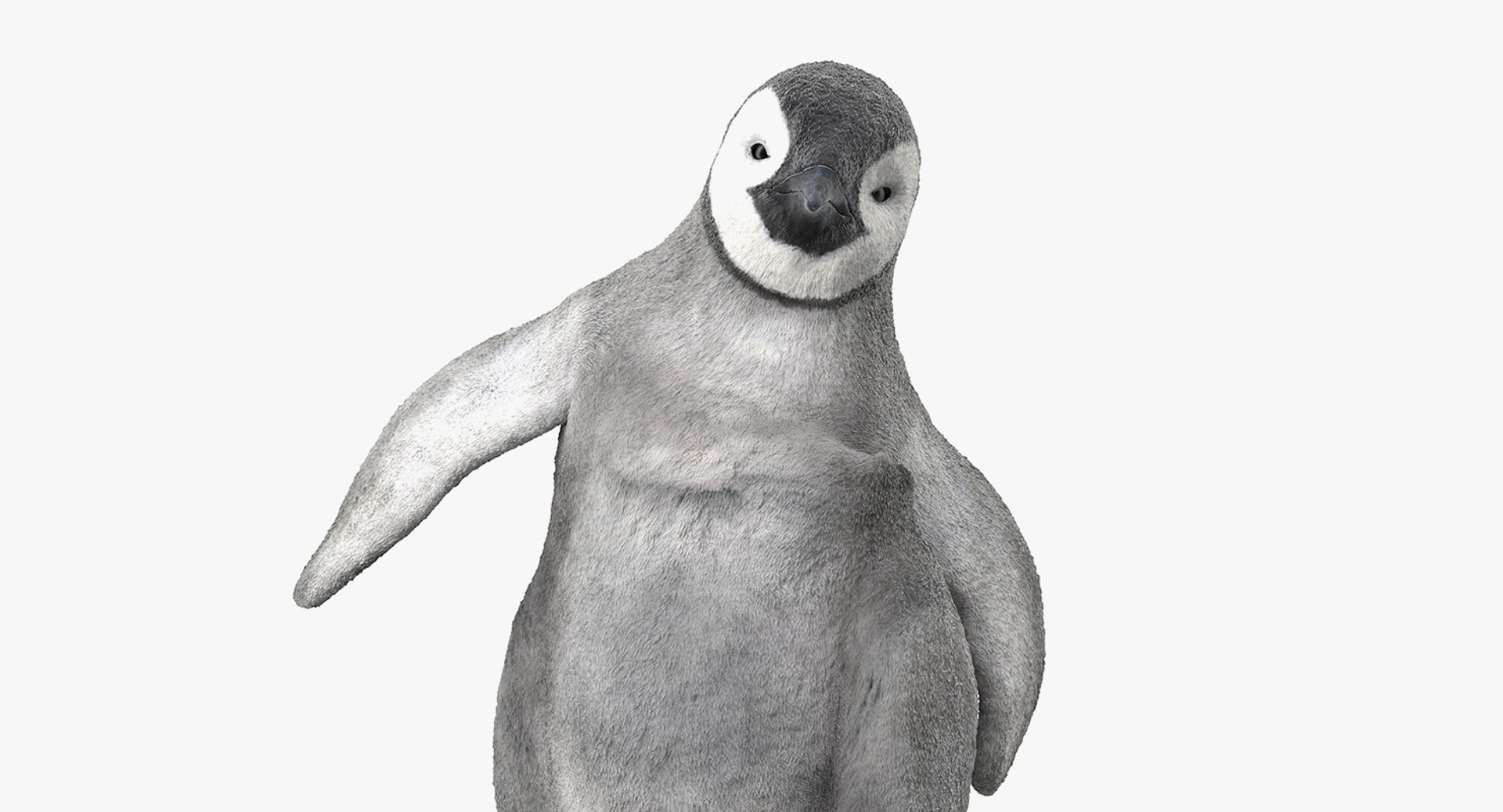 3D baby emperor penguin rigged https://p.turbosquid.com/ts-thumb/4P/RTJisZ/SvnFrgFo/babyemperorpenguinriggedmb3dmodel018/jpg/1563838468/1920x1080/fit_q87/37cc3304e84866cbd7b685ab21e1ee1bf93799a9/babyemperorpenguinriggedmb3dmodel018.jpg