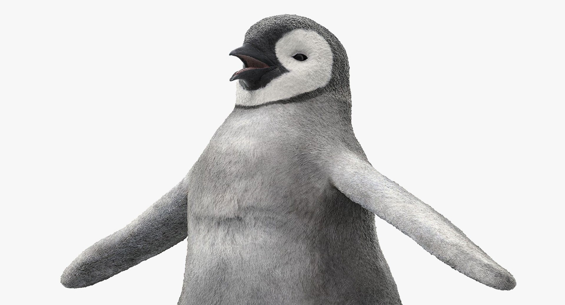 3D baby emperor penguin rigged https://p.turbosquid.com/ts-thumb/4P/RTJisZ/ToKF1TsT/babyemperorpenguinriggedmb3dmodel012/jpg/1563838448/1920x1080/fit_q87/65407fecaee562215f41b9014944f340f12929dc/babyemperorpenguinriggedmb3dmodel012.jpg