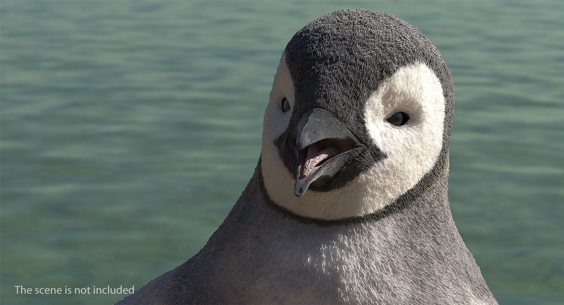3D baby emperor penguin rigged https://p.turbosquid.com/ts-thumb/4P/RTJisZ/ZShIG7D6/babyemperorpenguinriggedmb3dmodel009/jpg/1563838439/1920x1080/fit_q87/c1303db63d006abe2f93336a9e06d5feb4d9b00e/babyemperorpenguinriggedmb3dmodel009.jpg
