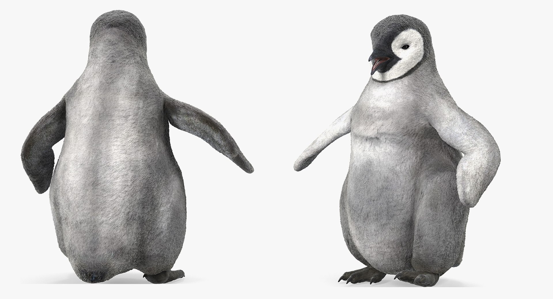 3D baby emperor penguin rigged https://p.turbosquid.com/ts-thumb/4P/RTJisZ/d2CSrhAz/babyemperorpenguinriggedmb3dmodel010/jpg/1563838442/1920x1080/fit_q87/53efd945afa8a23d6a46b7d6aaba25511379b05d/babyemperorpenguinriggedmb3dmodel010.jpg