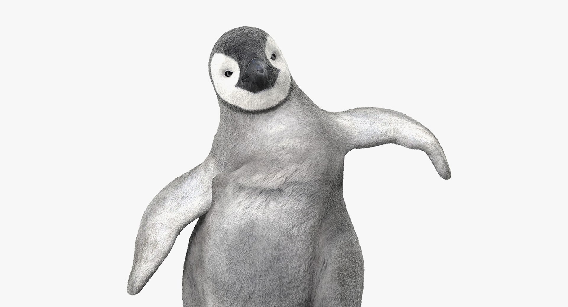3D baby emperor penguin rigged https://p.turbosquid.com/ts-thumb/4P/RTJisZ/d93qy1fo/babyemperorpenguinriggedmb3dmodel017/jpg/1563838464/1920x1080/fit_q87/efda43f5aa4b4cb461978187a4cc7c44999bfedb/babyemperorpenguinriggedmb3dmodel017.jpg