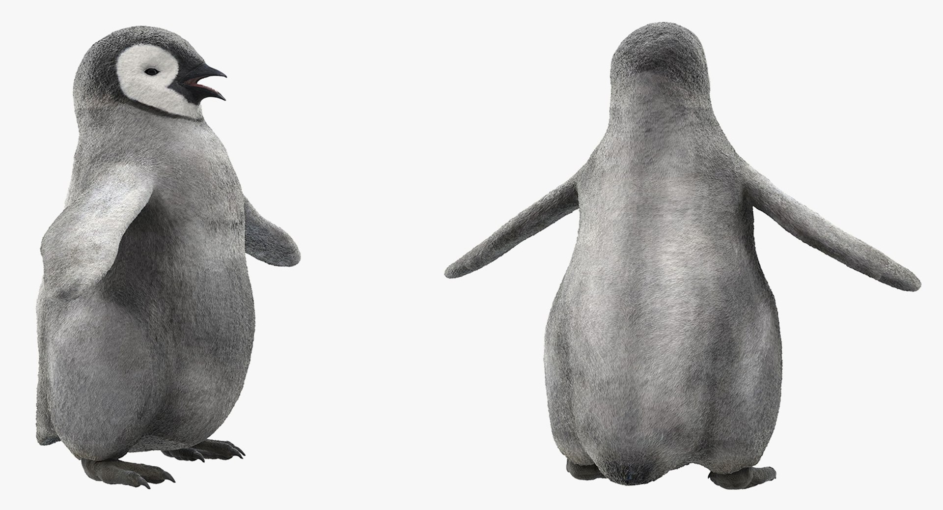 3D baby emperor penguin rigged https://p.turbosquid.com/ts-thumb/4P/RTJisZ/dZgV33jz/babyemperorpenguinriggedmb3dmodel011/jpg/1563838445/1920x1080/fit_q87/c6cf49efc06ee04d20681bcd2a7d7e189621d78d/babyemperorpenguinriggedmb3dmodel011.jpg
