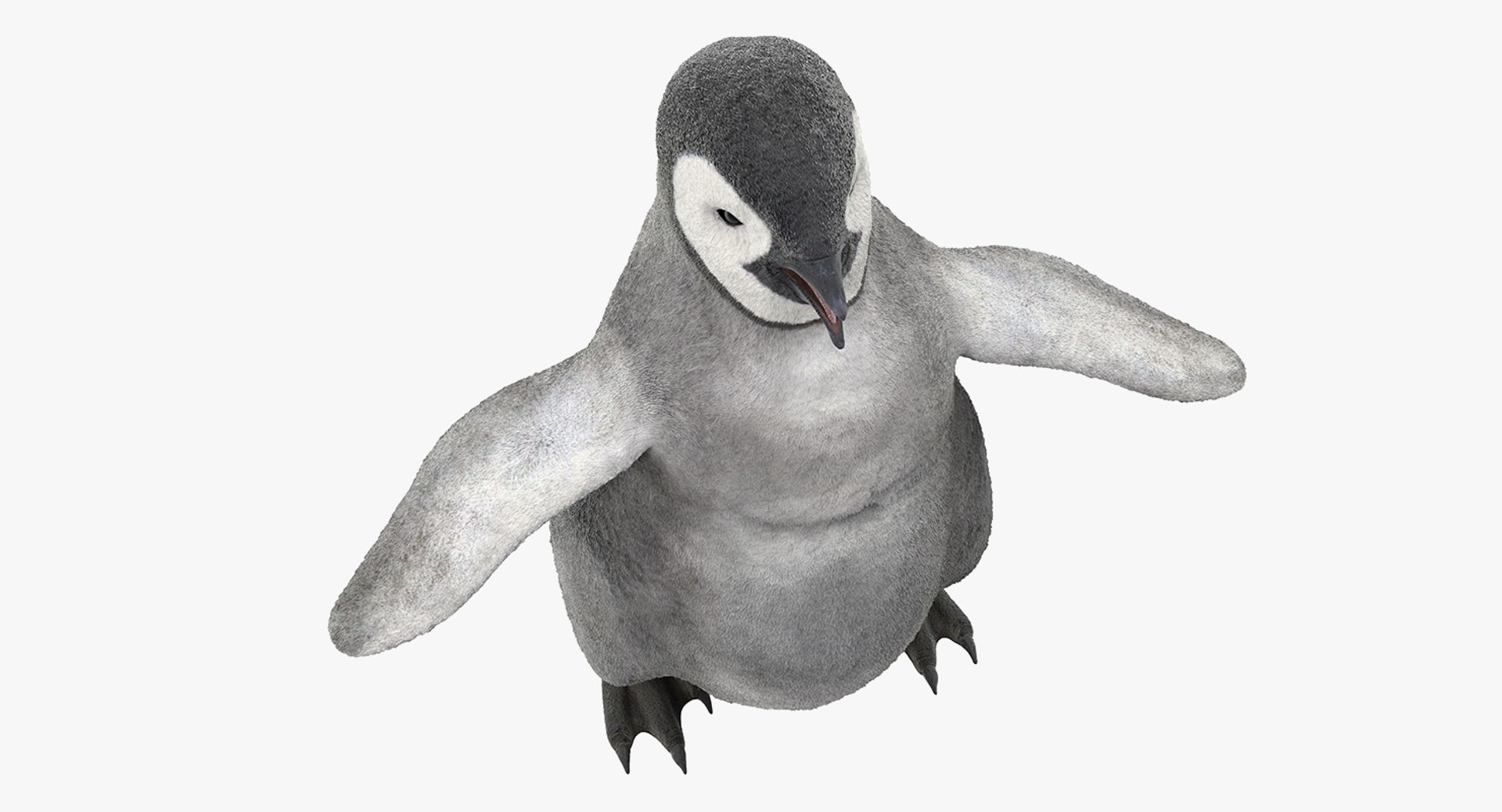 3D baby emperor penguin rigged https://p.turbosquid.com/ts-thumb/4P/RTJisZ/gCCAG4Ng/babyemperorpenguinriggedmb3dmodel014/jpg/1563838454/1920x1080/fit_q87/adb1d8e228debd686dba7406a4ba46f34405ce39/babyemperorpenguinriggedmb3dmodel014.jpg