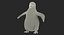 Baby Emperor Penguin aparejado para Maya