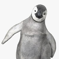 Baby Emperor Penguin Rigged for Maya