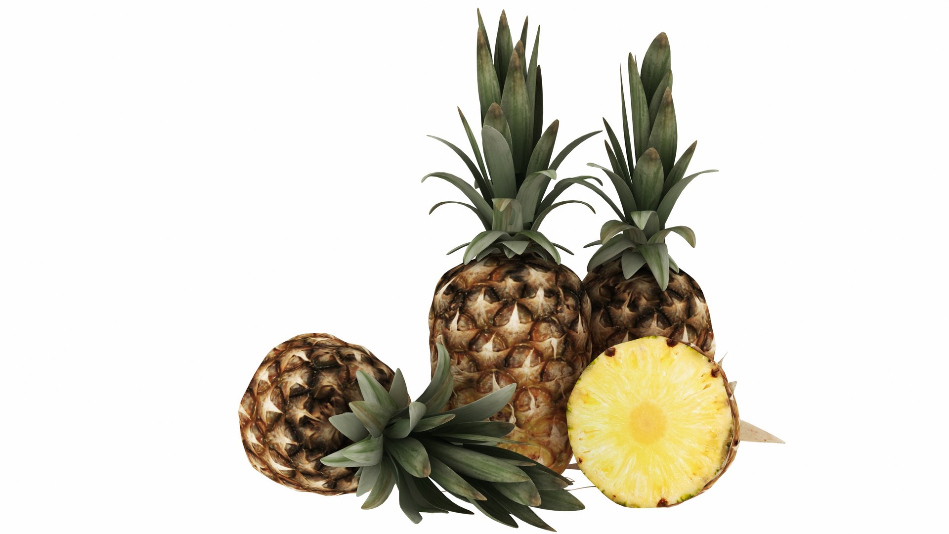 3D Pineapple https://p.turbosquid.com/ts-thumb/4P/RjxgLE/Cc/pineapple4/jpg/1770744044/1920x1080/fit_q87/5f9fb8338bf0e503df708d6779b907160a2bb20b/pineapple4.jpg