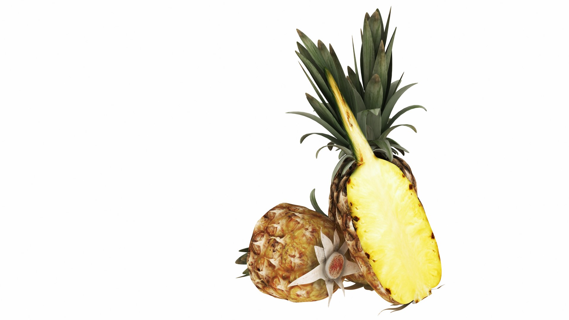3D Pineapple https://p.turbosquid.com/ts-thumb/4P/RjxgLE/PJ/pineapple3/jpg/1770744041/1920x1080/fit_q87/96de3d71a06ca53c6ad94ce2b0bc23eb7d2e1e24/pineapple3.jpg