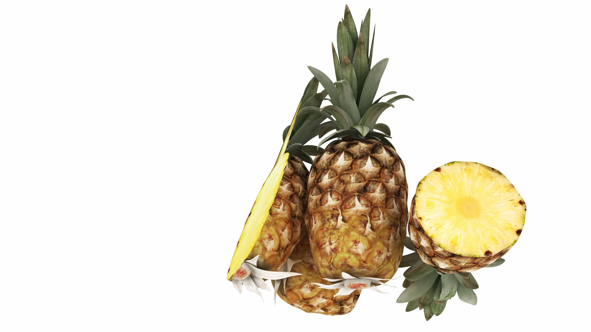 3D Pineapple https://p.turbosquid.com/ts-thumb/4P/RjxgLE/vT/pineapple6/jpg/1770744046/1920x1080/fit_q87/90a50f0660e31cf056b067332d7b2de64af7e6ba/pineapple6.jpg