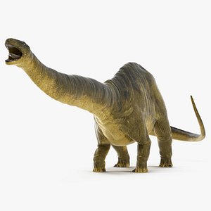 Apatosaurus Dinosaur Fighting Pose 3D Model