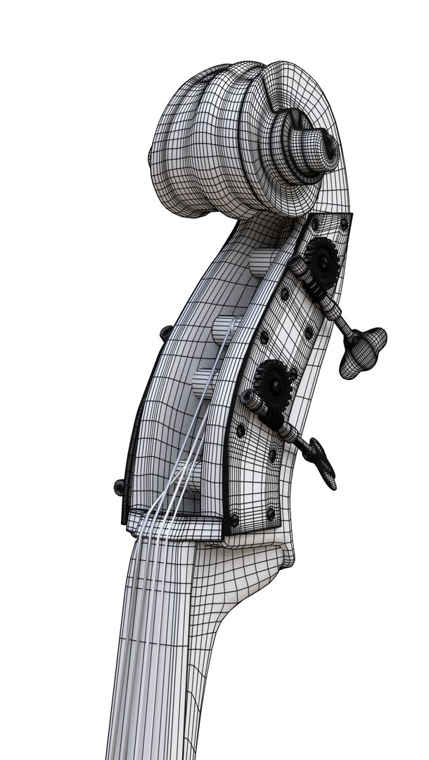 3D Contrabass Italian Model - TurboSquid 1358813