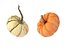 3D Pumpkins
