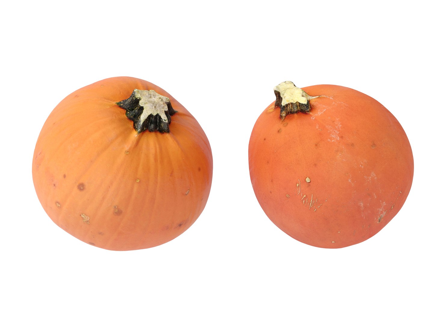 3D Pumpkins https://p.turbosquid.com/ts-thumb/4P/aq68Wt/Sr/preview_09/jpg/1689124101/1920x1080/fit_q87/d1f8560c7c119aaad34189296fb77c42a32d930c/preview_09.jpg