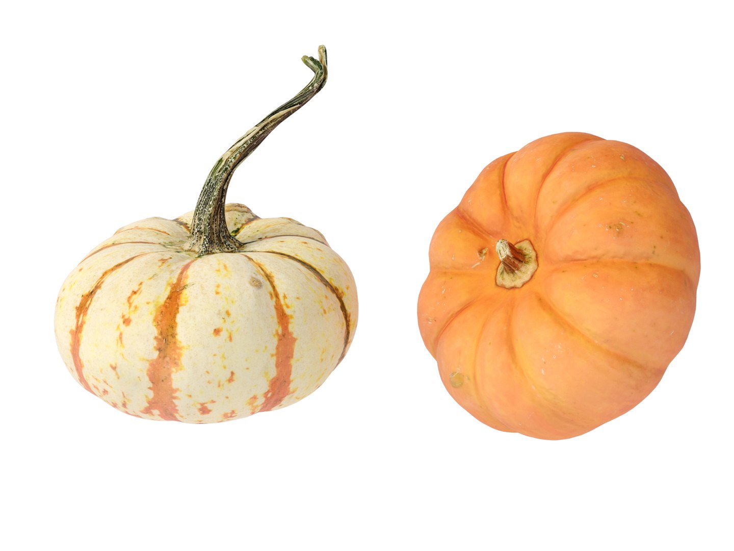 3D Pumpkins https://p.turbosquid.com/ts-thumb/4P/aq68Wt/UM/preview_07/jpg/1689124099/1920x1080/fit_q87/78ee3b685e69d0240df65abbdf4f5e18718fe37c/preview_07.jpg