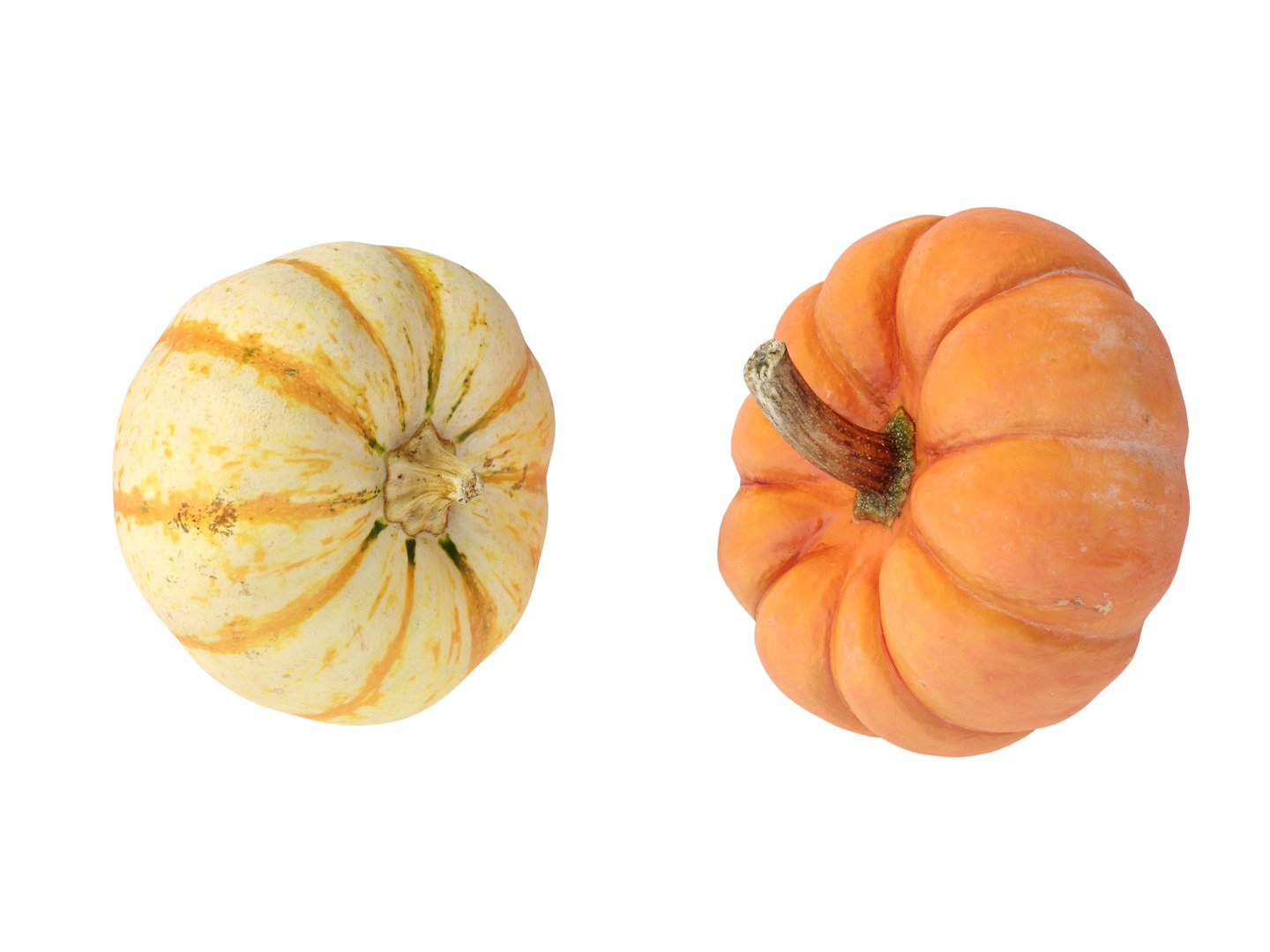 3D Pumpkins https://p.turbosquid.com/ts-thumb/4P/aq68Wt/Xc/preview_06/jpg/1689124099/1920x1080/fit_q87/ac5aab830a2c7b972ac463e8f472ac4ad5fbb727/preview_06.jpg
