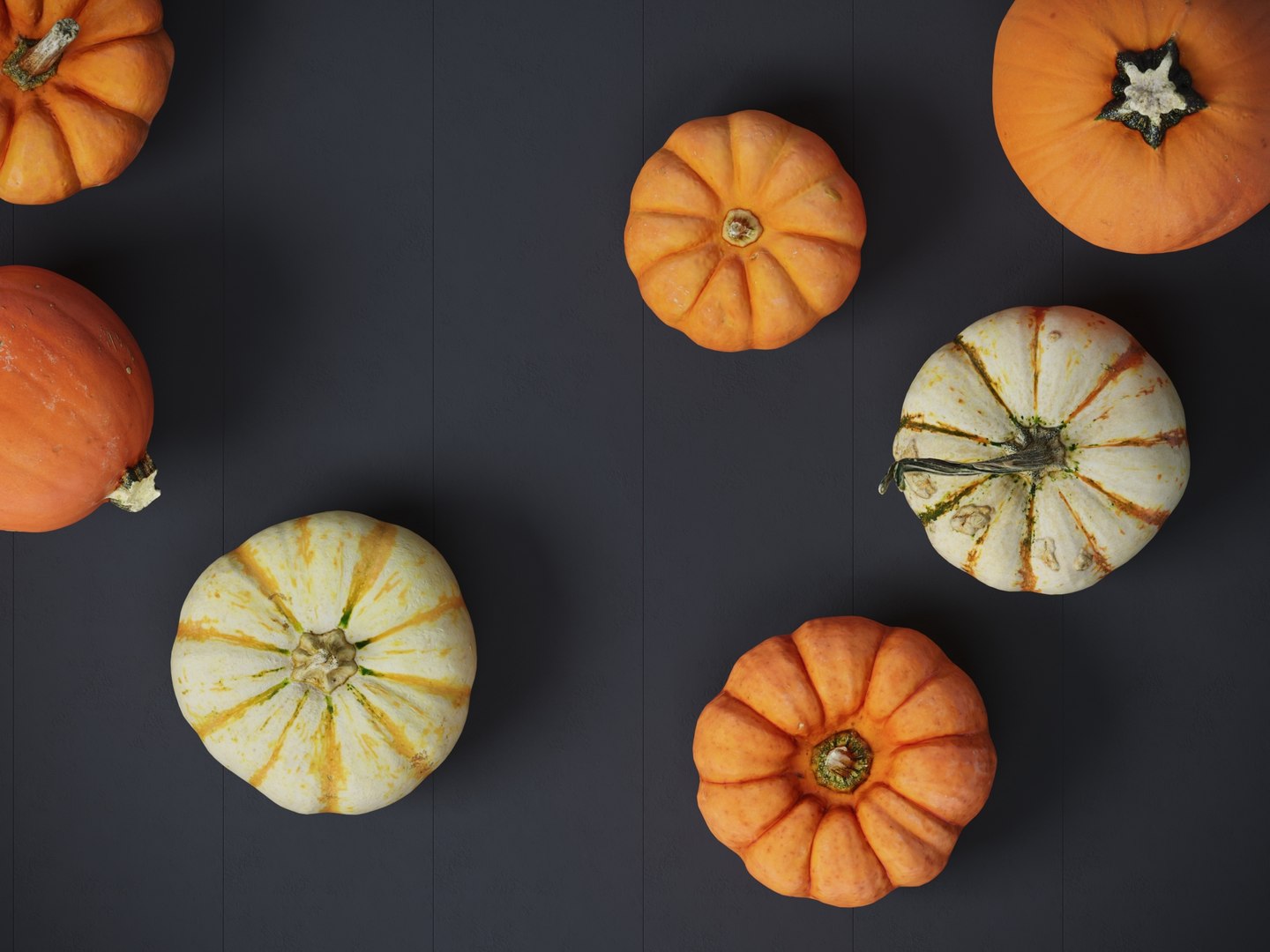 3D Pumpkins https://p.turbosquid.com/ts-thumb/4P/aq68Wt/wD/preview_04/jpg/1689124098/1920x1080/fit_q87/c0bca2c6c7758b3832c4d87f1248fc2f1e4f471d/preview_04.jpg