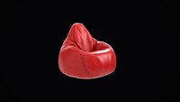 Red Bean Bag Chair