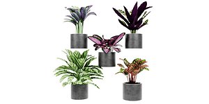 Collection plant vol 459 - blender model