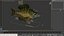 Bluegill Fish Rigged