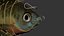 Bluegill Fish Rigged