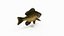 Bluegill Fish Rigged