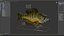Bluegill Fish Rigged