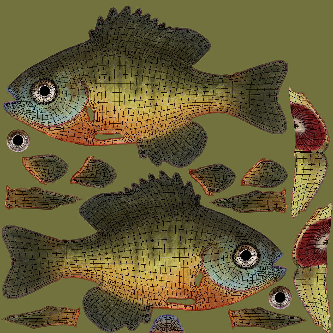 Bluegill Fish Rigged 3D https://p.turbosquid.com/ts-thumb/4P/vlsamW/hO/bluegill_fish_uvs/png/1792762424/1920x1080/fit_q87/3c36d0c56f8234ccf06517652ee1453290322f8b/bluegill_fish_uvs.jpg