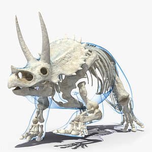 Triceratops Skeleton with Transparent Skin Rigged for Maya