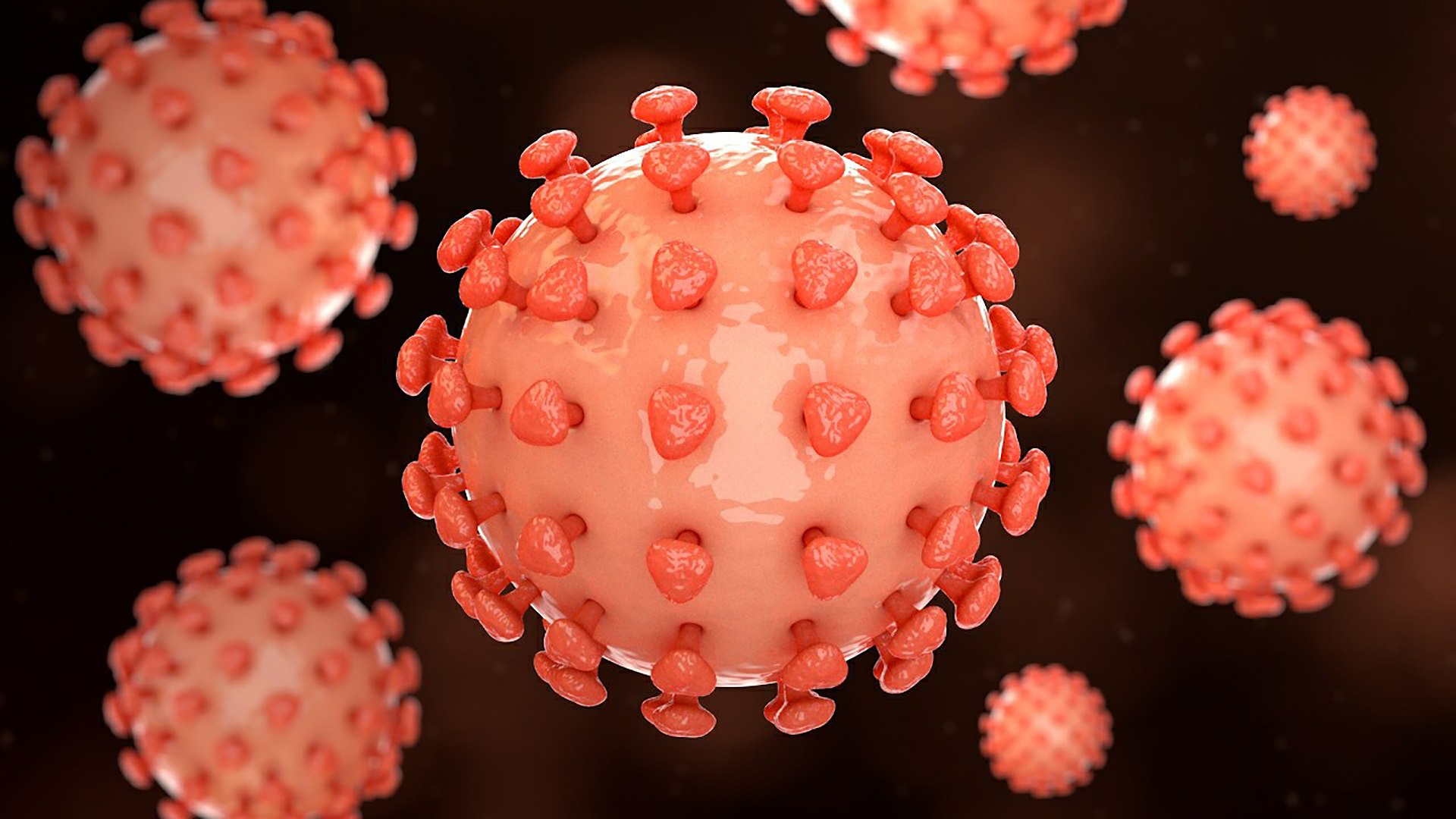 3D Hepatitis B https://p.turbosquid.com/ts-thumb/4Q/5Lh67Z/1M/26_hepatitisb_0002/jpg/1714747735/1920x1080/fit_q87/af29adc1d459d9fa9994690e24c3036c204c6b60/26_hepatitisb_0002.jpg