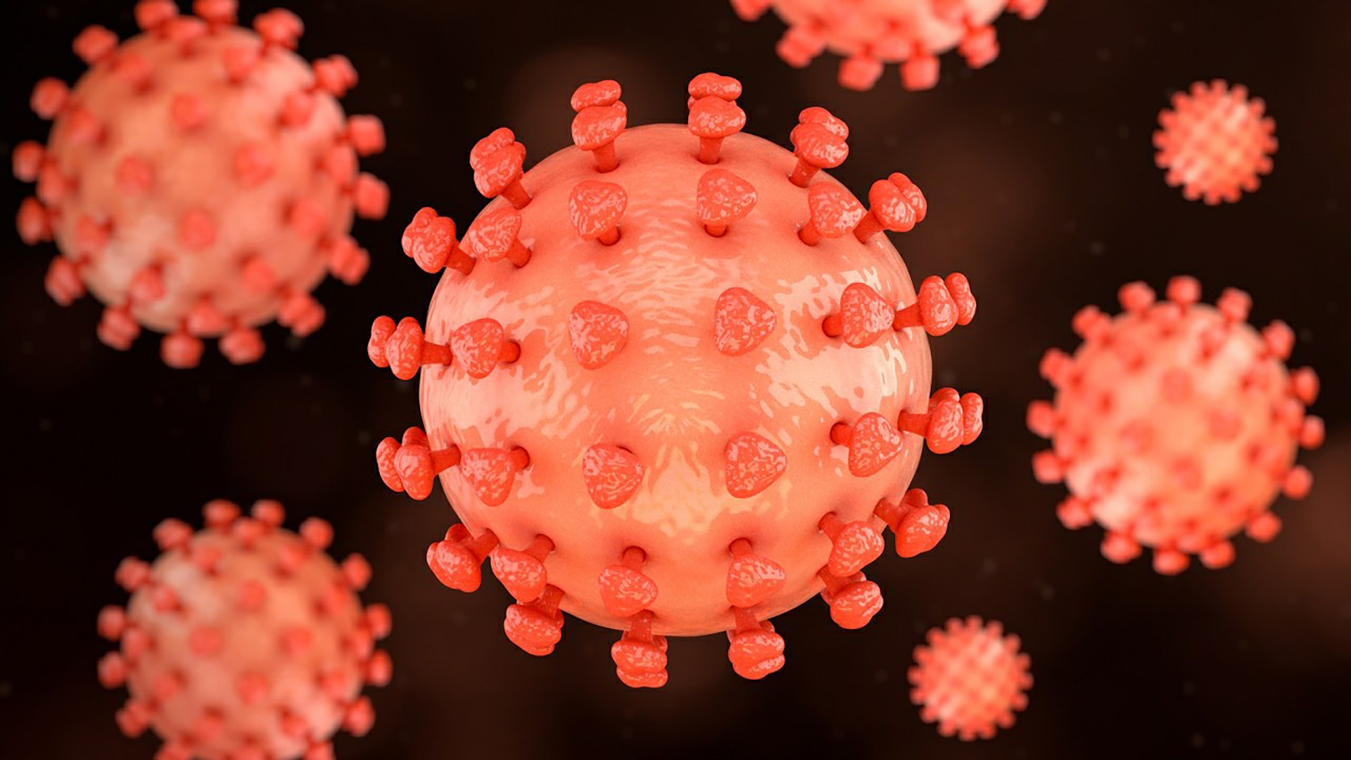 3D Hepatitis B https://p.turbosquid.com/ts-thumb/4Q/5Lh67Z/Gi/26_hepatitisb_0003/jpg/1714747735/1920x1080/fit_q87/4b827f4a6054cb551d17fff37fdf2d79b731e14c/26_hepatitisb_0003.jpg