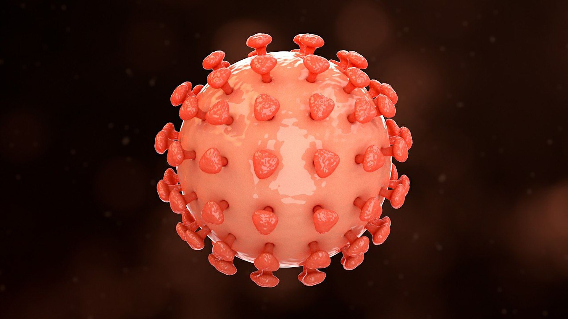 3D Hepatitis B https://p.turbosquid.com/ts-thumb/4Q/5Lh67Z/Mu/26_hepatitisb1_0002/jpg/1714747731/1920x1080/fit_q87/187ecd0c0f64154b0920b4de64fffc3107b07f22/26_hepatitisb1_0002.jpg