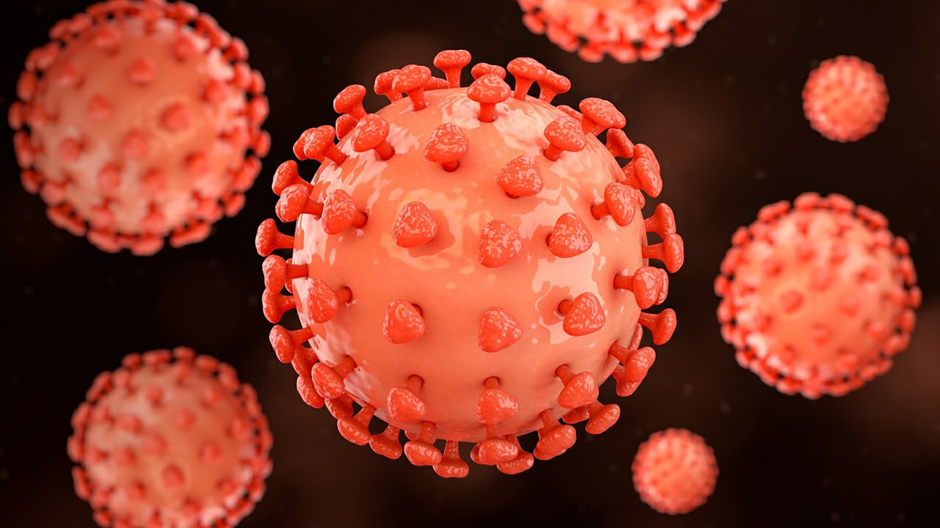 3D Hepatitis B https://p.turbosquid.com/ts-thumb/4Q/5Lh67Z/P3/26_hepatitisb_0001/jpg/1714747734/1920x1080/fit_q87/21dd2596c58a43a855d1a7e8cd50e877f0ff8268/26_hepatitisb_0001.jpg