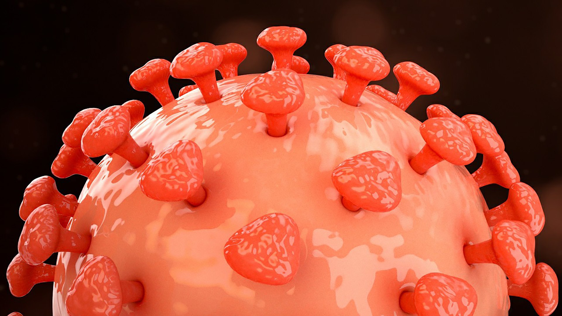 3D Hepatitis B https://p.turbosquid.com/ts-thumb/4Q/5Lh67Z/Pi/26_hepatitisb1_0004/jpg/1714747731/1920x1080/fit_q87/5dbc50b57e4942905490008acd4bd6babfbc0e95/26_hepatitisb1_0004.jpg