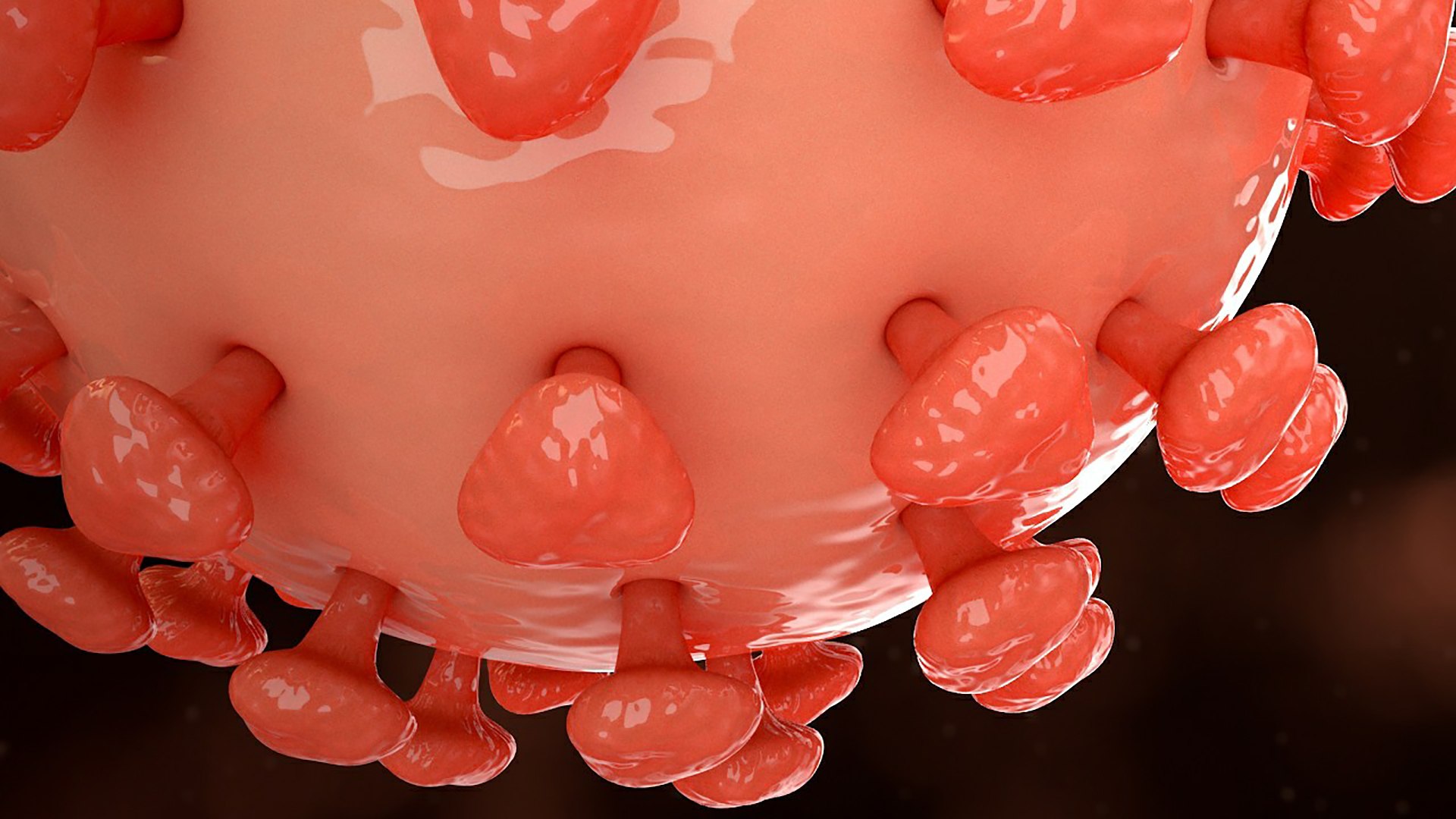 3D Hepatitis B https://p.turbosquid.com/ts-thumb/4Q/5Lh67Z/l2/26_hepatitisb1_0005/jpg/1714747732/1920x1080/fit_q87/b924f7c8c5898ed8140eee9dd01f81fbfca03bbe/26_hepatitisb1_0005.jpg