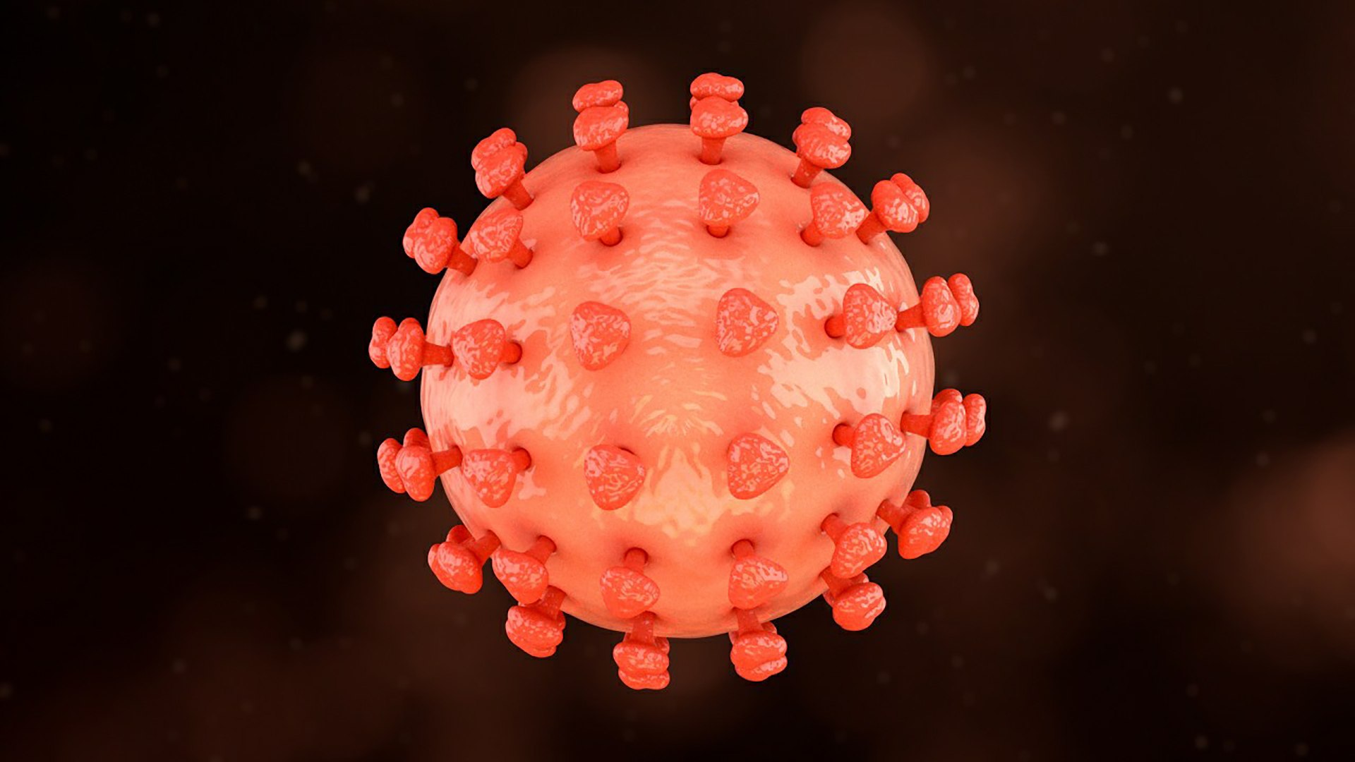 3D Hepatitis B https://p.turbosquid.com/ts-thumb/4Q/5Lh67Z/qr/26_hepatitisb1_0003/jpg/1714747731/1920x1080/fit_q87/be025b856407a3afcacd643dab5479914de6f9a1/26_hepatitisb1_0003.jpg