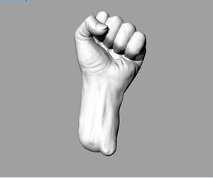 Hand Fist