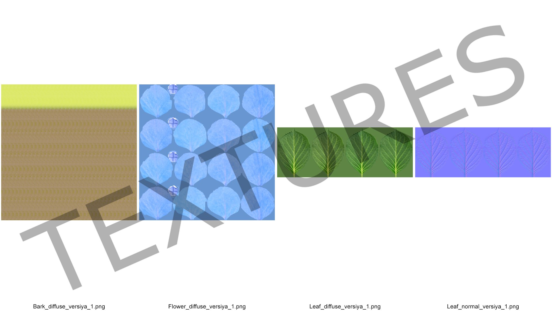 3D hydrangea macrophylla nikko blue glass model https://p.turbosquid.com/ts-thumb/4Q/lbLx7D/BvRYbePj/hydrangeamacrophyllanikkoblueinglassbowlmb3dmodel015/jpg/1597168239/1920x1080/fit_q87/4684d9a423cd56b23e0703593b963cde261b74b2/hydrangeamacrophyllanikkoblueinglassbowlmb3dmodel015.jpg