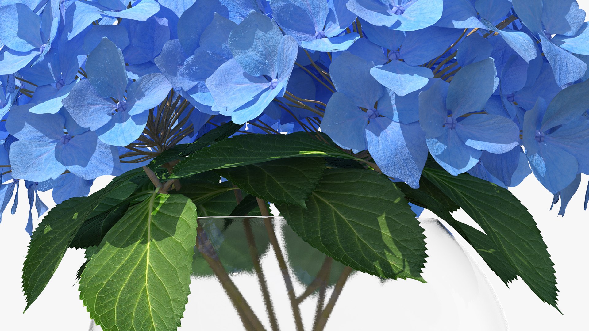 3D hydrangea macrophylla nikko blue glass model https://p.turbosquid.com/ts-thumb/4Q/lbLx7D/CkI8fUrz/hydrangeamacrophyllanikkoblueinglassbowlmb3dmodel010/jpg/1597168185/1920x1080/fit_q87/4c7ae0efed570e40495452ca6549ab875857832c/hydrangeamacrophyllanikkoblueinglassbowlmb3dmodel010.jpg