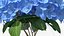 Hortensie Macrophylla Nikko Blue in Glasschale