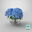 Hortensie Macrophylla Nikko Blue in Glasschale