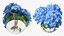 Hortensie Macrophylla Nikko Blue in Glasschale