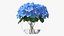 Hortensie Macrophylla Nikko Blue in Glasschale