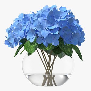 3D hydrangea macrophylla nikko blue glass model