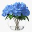 Hortensie Macrophylla Nikko Blue in Glasschale