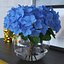 Hortensie Macrophylla Nikko Blue in Glasschale