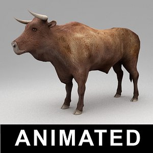 3d rigged bull animation walk