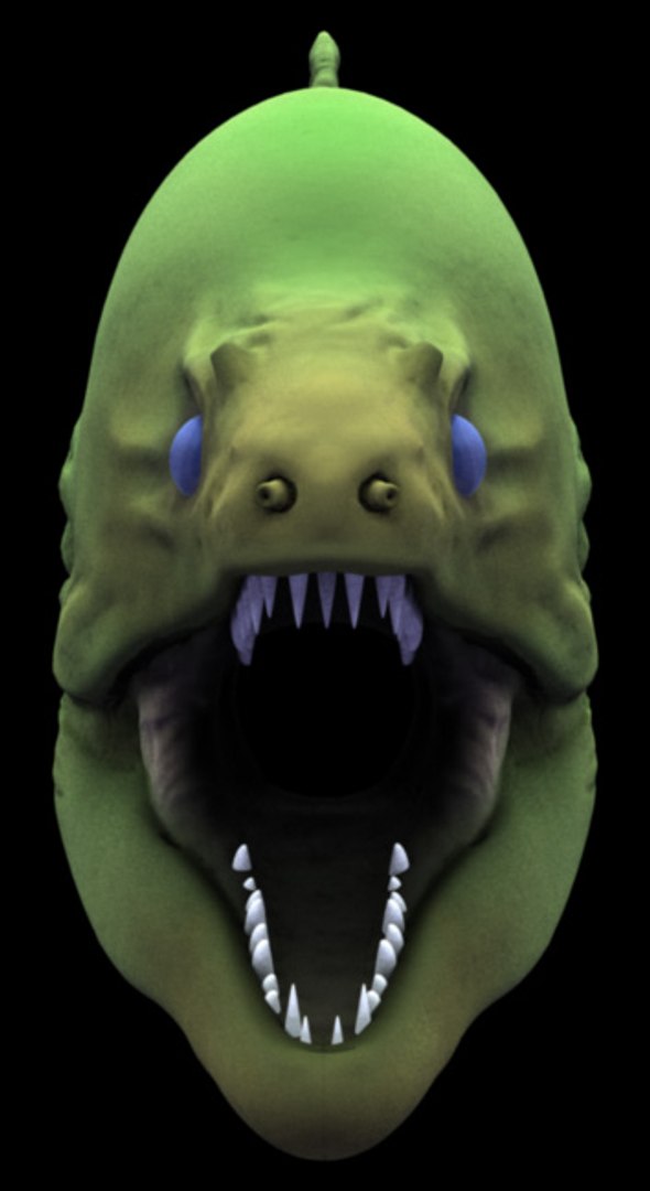 moray eel 3d model https://p.turbosquid.com/ts-thumb/4Q/wfcW5m/7zbvQqop/eelface/jpg/1275166585/1920x1080/fit_q87/b664e9b88399189050ea0ef9d75916b981cc7807/eelface.jpg