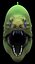 moray eel 3d model