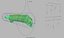 moray eel 3d model