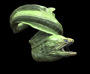 Moray Eel